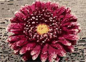 Photograph of product.